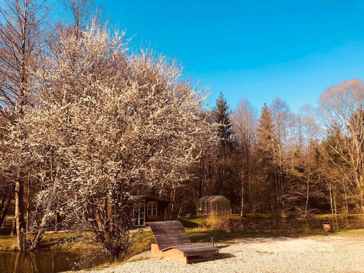 Fischerhaus Burgthann Экстерьер фото